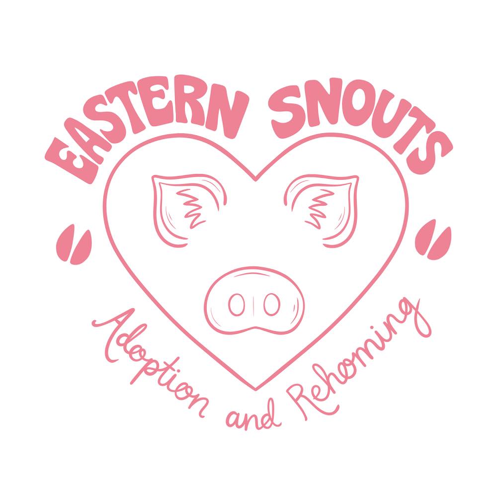 Eastern Snouts Adoption and Rehoming